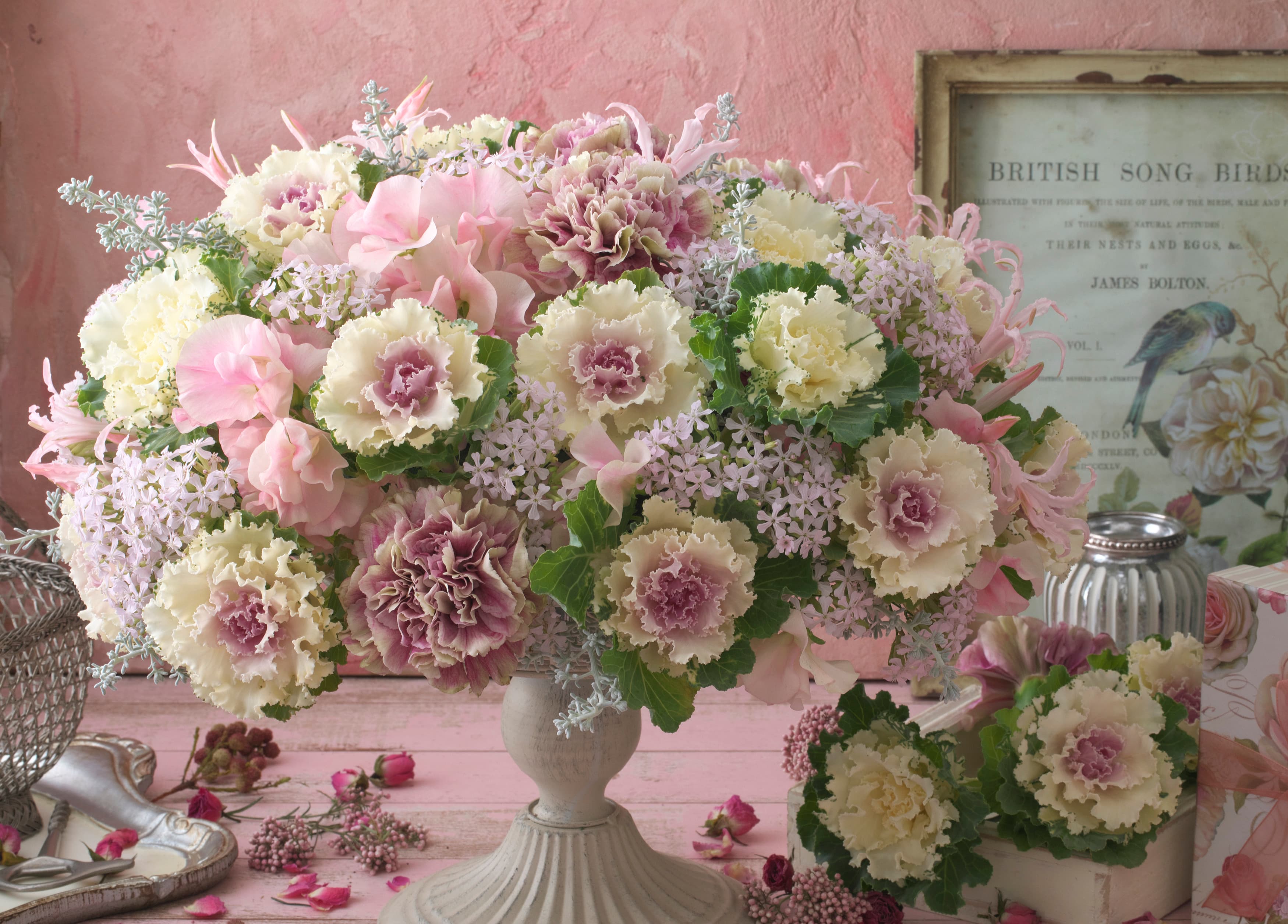 Flowering plant showcase