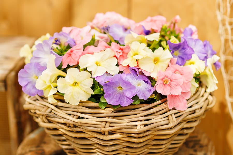 Цветочный образец 3